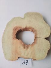 Int17 XL Baumscheibe Akazie Robinie 49x42x5,5 94-98Jahre Holzscheibe Tischplatte