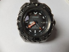 Citizen NB6004-83E Promaster