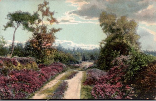 Heidelandschaft vers franz - ak,