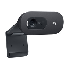 Logitech C505e Business-Webcam