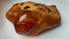 großer Bernstein  Naturbernstein Bernsteinbrocken mit Innenleben Amber 66 g