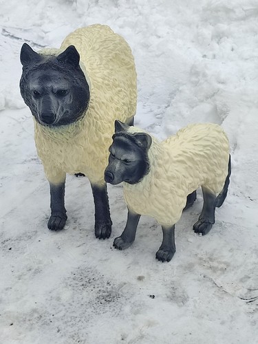 Wolfsschaf kind lebensgroß - +,