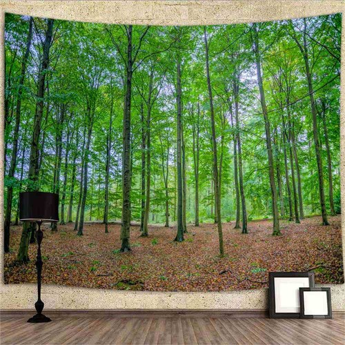 Wald grün natur poster - grün,
