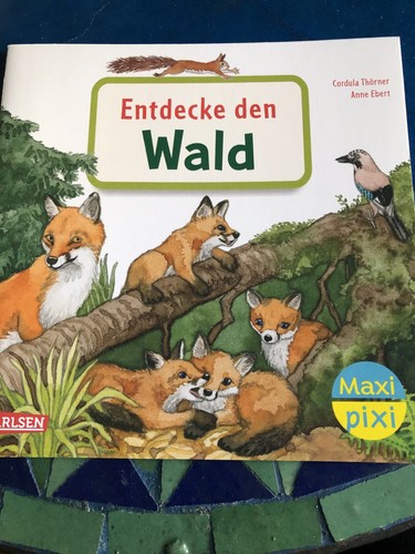 Maxi pixi entdecke - den, wald