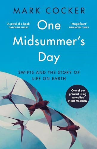 One midsummer day swifts - one, midsummer's