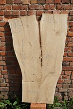 Baumscheibe Holzscheibe