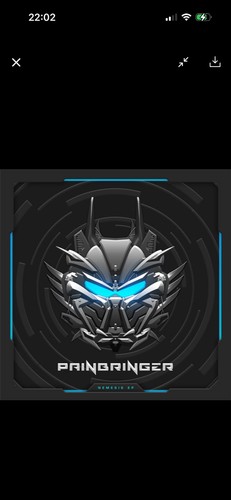 Painbringer nemesis - painbringer,