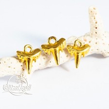 10x Haifisch Zahn Vergoldet