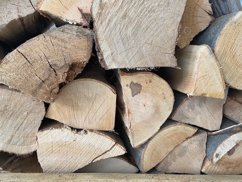 Buche brennholz 30kg frei haus - buche,