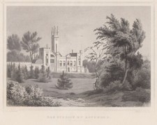 Braunschweig Richmond Original