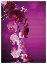 Wallario Duschmatte Bad Teppich Vorleger Rosafarbene Orchidee  Blüten pink Blume