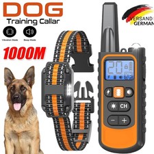 1000m hund ausbildung - hund,