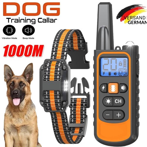 1000m hund ausbildung - 1000m,