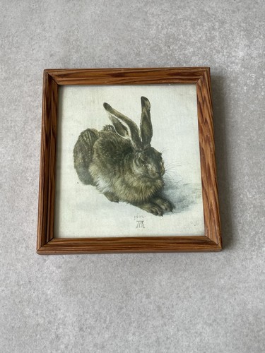 Miniatur druck hase albrecht - druck,