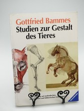 Gottfried Bammes: Studien zur