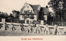 24/1068 AK GASTHOF STEINBORN SACHSEN  KÖNIGSBRÜCK ORTRAND KAMENZ LÖBAU FELDPOST