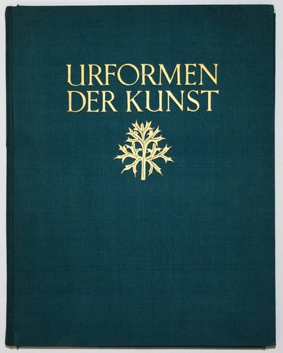 Blossfeldt karl urformen der - karl.,