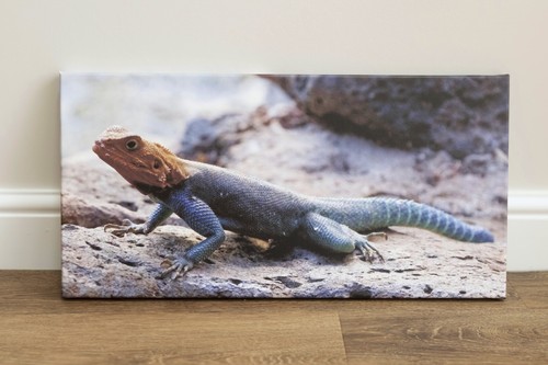Leinwand wandbild kunstdruck - leinwand,