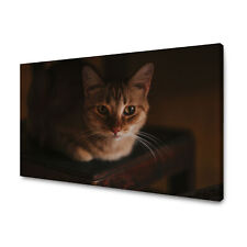 CANVAS Leinwandbilder XXL Wandbilder Kunstdruck Tier Hauskatze Größe 40x30-120x8