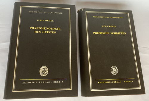 Hegel phänomenologie des - phänomenologie,