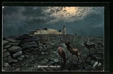 Brocken, Blick auf das