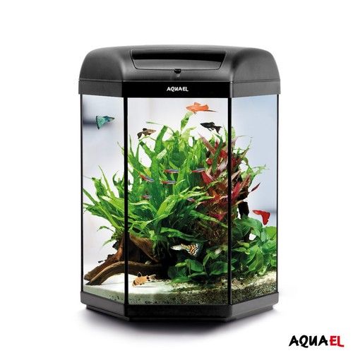 Aquarium set hexa n - aquarium-,