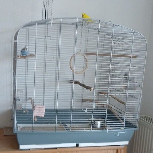 Vogelkäfig metall weiß - vogelkäfig, blau