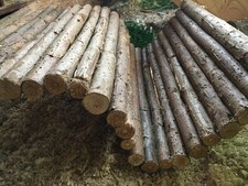 Karlie Willow Bridge