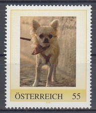 PM 8011941 CHIHUAHUA - aus 100-er Auflage
