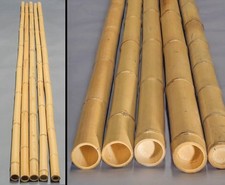 Bambusrohr gelb mit Durch. 4,5