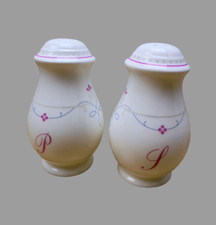 Salz und Pfefferstreuer