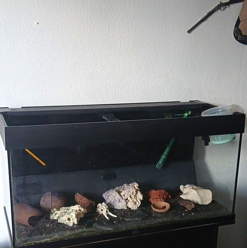 Rechteckiges glas aquarium - rechteckiges, glas-aquarium