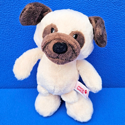 Nici hund mops - hund,