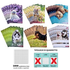 Katze Kätzchen Hund Welpe