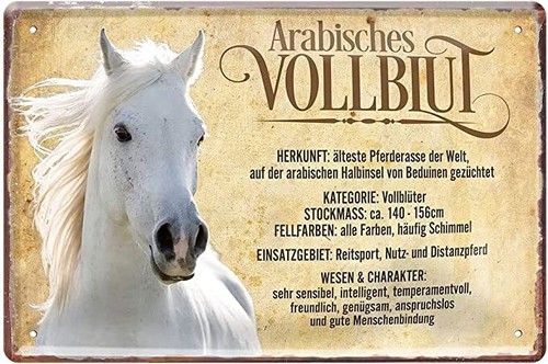 Blechschilder lustiger spruch - lustiger,