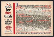 Ansichtskarte Saalfeld / Saale, Gasthaus zum roten Hirschen am Markte 