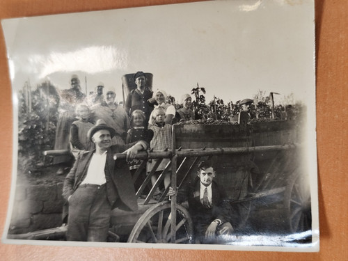 Foto leiterwagen heuwagen - foto,