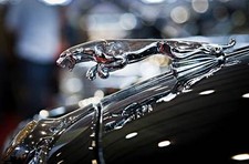 Leinwand Bild Jaguar