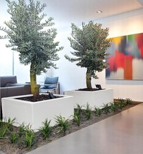 Weißes Design Pflanzgefäß Pflanzkübel Blumenkübel aus Fiberglas wetterfest