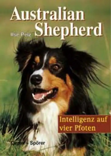 Australian shepherd - australian,