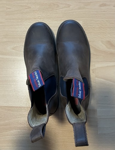 Blue heeler chelsea - chelsea, boots