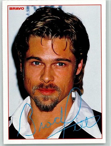 10176538 brad pitt bravo - -,