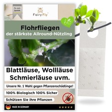 Florfliegenlarven gegen