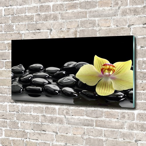 Glas bild wandbilder druck auf - glas-bild,