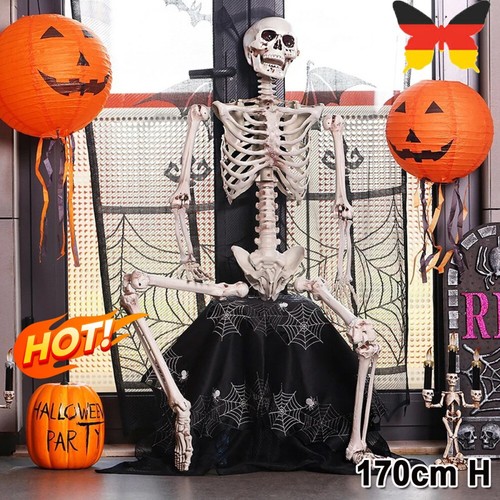 Skelett halloween lebensgroß - skelett,