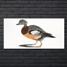 Zeichnung Tier Vogel Kunst