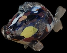 Großer Glasfisch – 40 cm