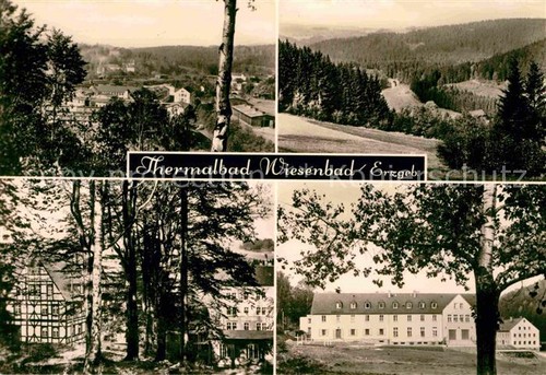 Wiesenbad panorama teilansicht - wiesenbad,