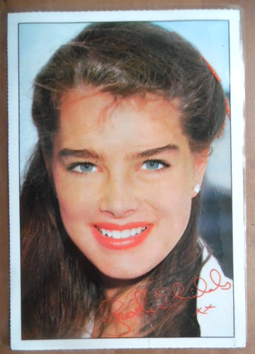 Brooke shields laminiert - brooke,