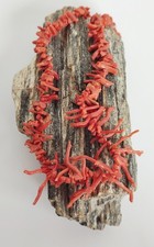 Tolle Halskette , rote Ast-Koralle , Länge ca. 72 cm